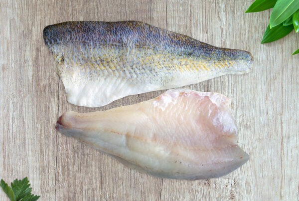 Yellow Pickerel Fillet